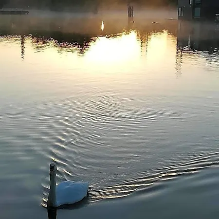 Houseboat Sooki Гостевой дом 3*